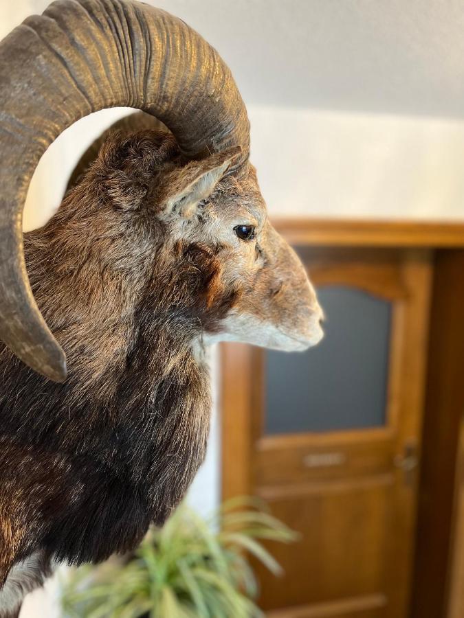 Gaestehaus Johannes Niedernsill Eksteriør billede